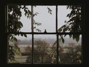 Why Good Window Seals Are Important For Your Home