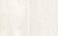 Marbrex White Wood Wall Panel (4 lengths per pack) DC260L6 gallery image 2